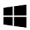 win-icon